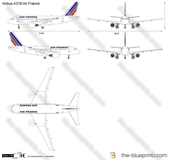 Airbus A318 Air France