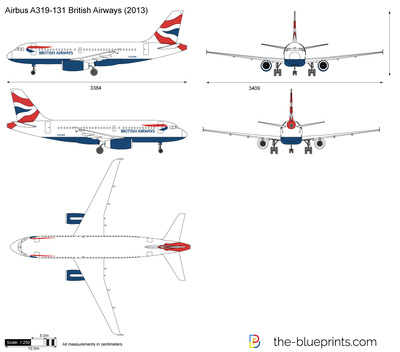 Airbus A319-131 British Airways (2013)