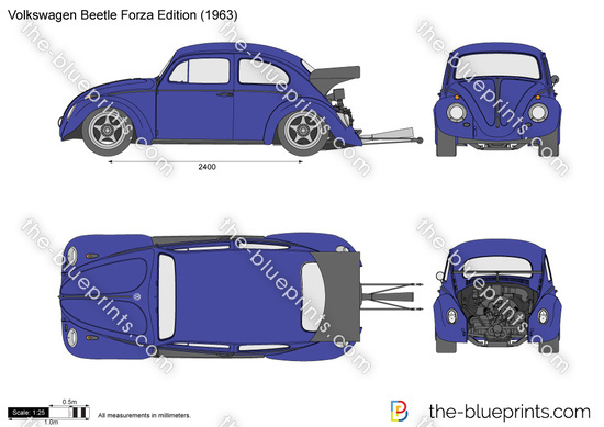 Volkswagen Beetle Forza Edition