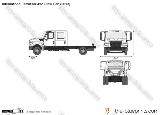 International TerraStar 4x2 Crew Cab