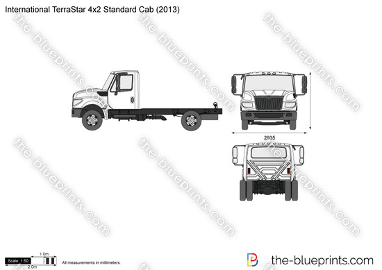 International TerraStar 4x2 Standard Cab