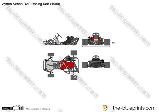 Ayrton Senna DAP Racing Kart