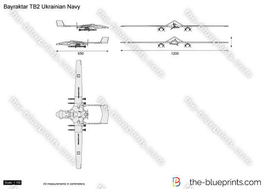 Bayraktar TB2 Ukrainian Navy UAV drone