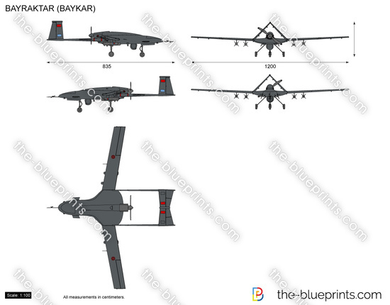 BAYRAKTAR (BAYKAR) UAV Drone
