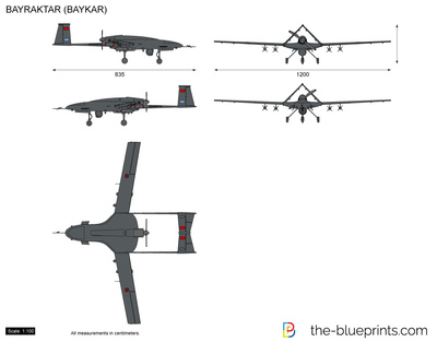 BAYRAKTAR (BAYKAR) UAV Drone