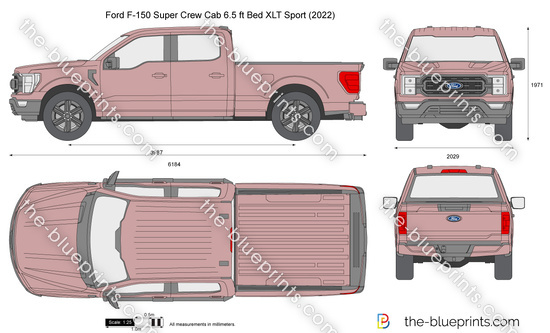 Ford F-150 Super Crew Cab 6.5 ft Bed XLT Sport