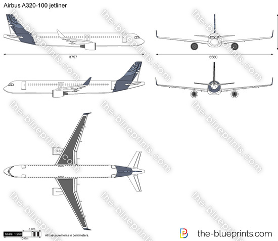 Airbus A320-100 jetliner