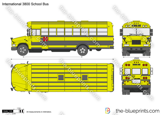 International 3800 School Bus