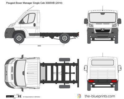 Peugeot Boxer Manager Single Cab 3000WB (2014)