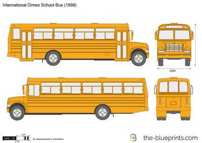 International Dimex School Bus