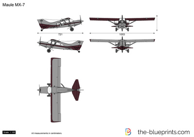 Maule aircraft