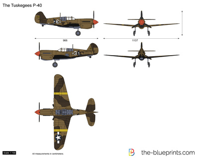 The Tuskegees P-40