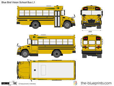 Blue Bird Vision School Bus L1