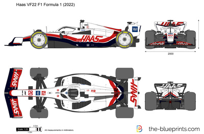 Haas VF22 F1 Formula 1 (2022)